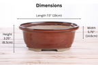 Willow Bonsai Ceramics Fat Bonsai Pot 7.5 Inch – Bold Oval Ceramic Bonsai & Succulent Planter with Accentuated Rim, High‑Fired Frost‑Proof Stoneware, Handmade in USA (Sunset)