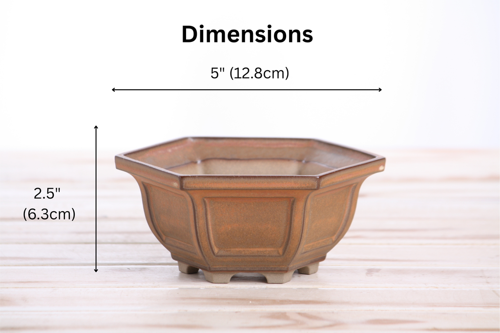 Willow Bonsai Ceramics Hexagonal Windowed Bonsai Pot 5 Inch – Semi‑Cascade Planter, High‑Fired Frost‑Proof Stoneware with Drainage & Wiring Holes, Handmade in USA (Deep Stone)