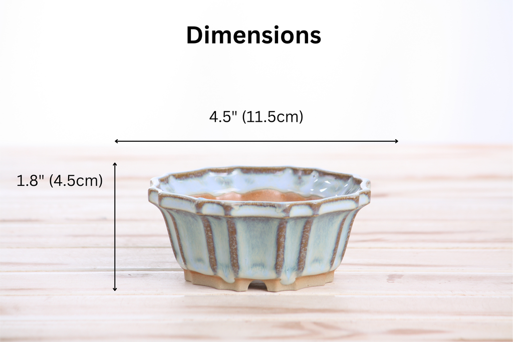 Willow Bonsai Ceramics Flower Design Bonsai Pot 4.5 Inch – Elegant Ceramic Bonsai & Succulent Planter, High‑Fired Frost‑Proof Stoneware with Drainage & Wiring Holes, Handmade in USA (Glacier)