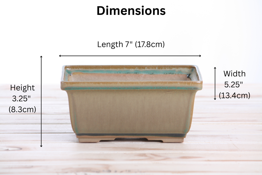 Willow Bonsai Ceramics Rectangle Deep Bonsai Pot 7 Inch – Higher‑Profile Rectangular Ceramic Bonsai & Succulent Planter with Accentuated Rim, High‑Fired Frost‑Proof Stoneware, Handmade in USA (Speckled Moss)