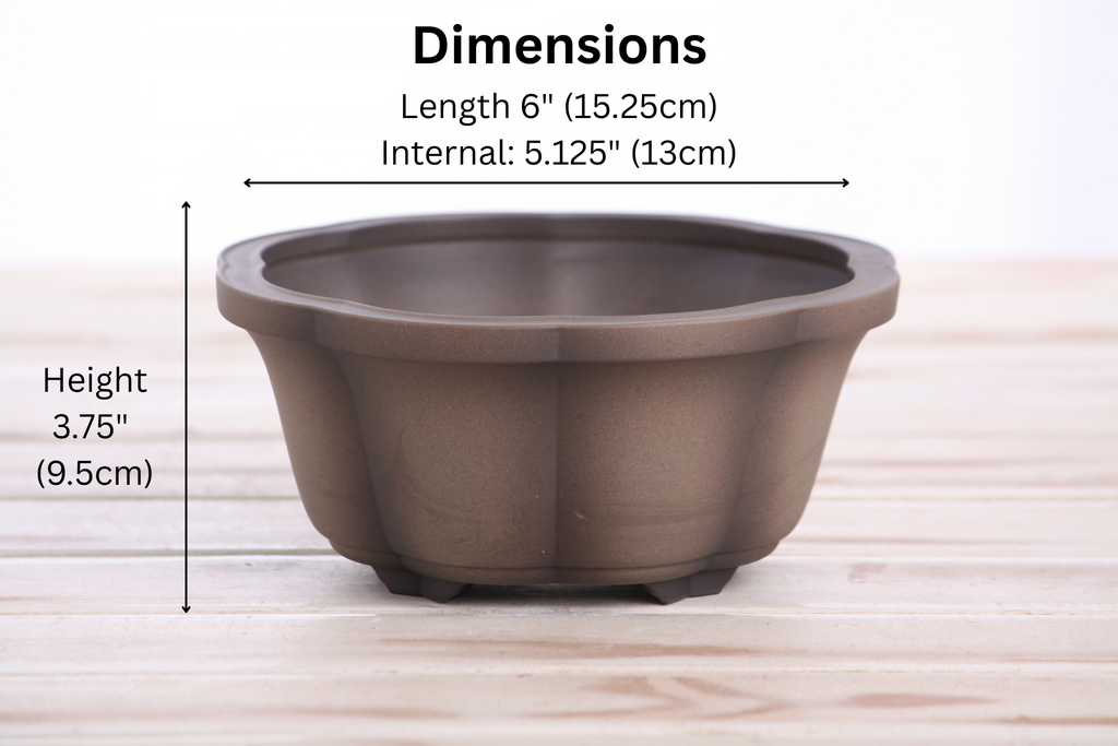 Lotus A Bonsai Pot 6 Inch – Semi‑Cascade Ceramic Planter with Scalloped Sides, High‑Fired Frost‑Proof Stoneware, Handmade in USA (Shaded Unglazed)