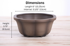 Lotus A Bonsai Pot 6 Inch – Semi‑Cascade Ceramic Planter with Scalloped Sides, High‑Fired Frost‑Proof Stoneware, Handmade in USA (Shaded Unglazed)