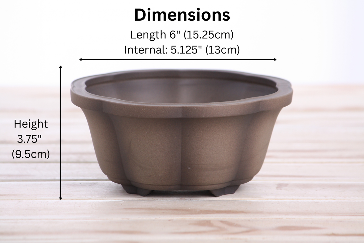 Lotus A Bonsai Pot 6 Inch – Semi‑Cascade Ceramic Planter with Scalloped Sides, High‑Fired Frost‑Proof Stoneware, Handmade in USA (Shaded Unglazed)