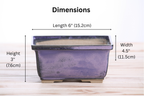 Willow Bonsai Ceramics Rectangle Deep Bonsai Pot 6 Inch – Higher‑Profile Rectangular Ceramic Bonsai & Succulent Planter with Accentuated Rim, High‑Fired Frost‑Proof Stoneware, Handmade in USA (Purple)