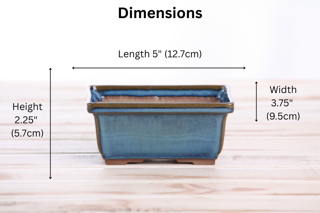Willow Bonsai Ceramics Rectangle Deep Bonsai Pot 5 Inch – Higher‑Profile Rectangular Ceramic Bonsai & Succulent Planter with Accentuated Rim, High‑Fired Frost‑Proof Stoneware, Handmade in USA (Peacock 2025)