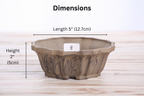 Willow Bonsai Ceramics Flower Design Bonsai Pot 5 Inch – Elegant Ceramic Bonsai & Succulent Planter, High‑Fired Frost‑Proof Stoneware with Drainage & Wiring Holes, Handmade in USA (Limited Edition 8)