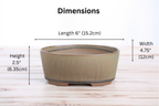 Willow Bonsai Ceramics Oval A Bonsai Pot 6 Inch – Straight‑Sided Oval Ceramic Bonsai & Succulent Planter, High‑Fired Frost‑Proof Stoneware with Drainage & Wiring Holes, Handmade in USA (Speckled Moss)