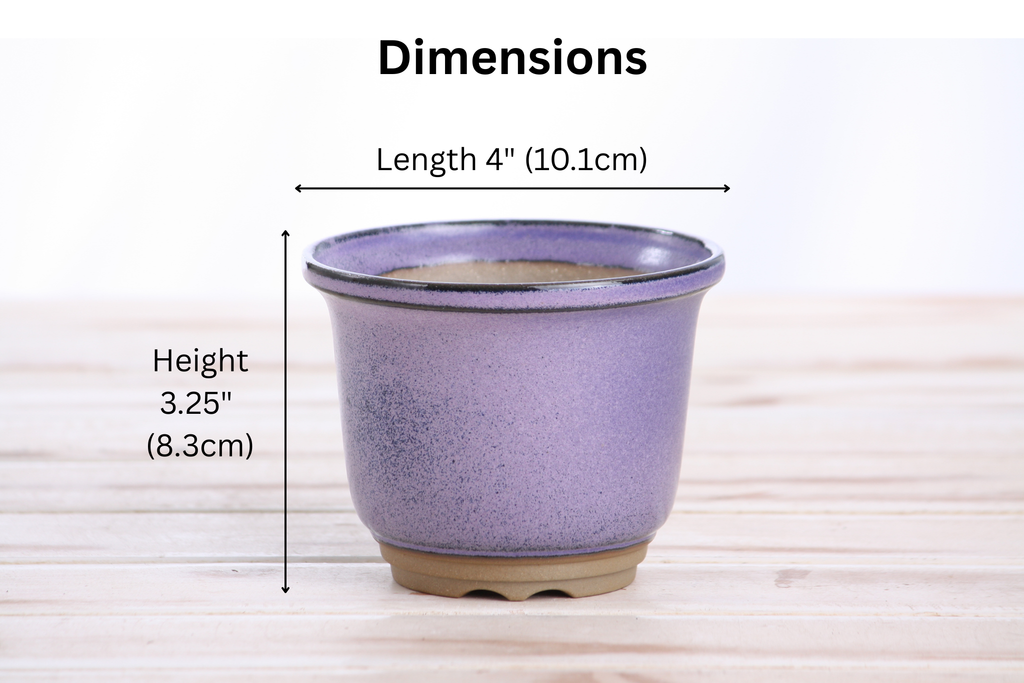 Willow Bonsai Ceramics Flute Bonsai Pot 4 Inch – Round Semi‑Cascade Ceramic Bonsai & Succulent Planter with Fluted Profile and Banded Base, High‑Fired Frost‑Proof Stoneware, Handmade in USA (Purple)