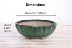 Willow Bonsai Ceramics Lily Bonsai Pot 7 Inch – Sculpted Rounded Ceramic Bonsai & Succulent Planter with Wavy Profile, High‑Fired Frost‑Proof Stoneware, Handmade in USA (Avocado)