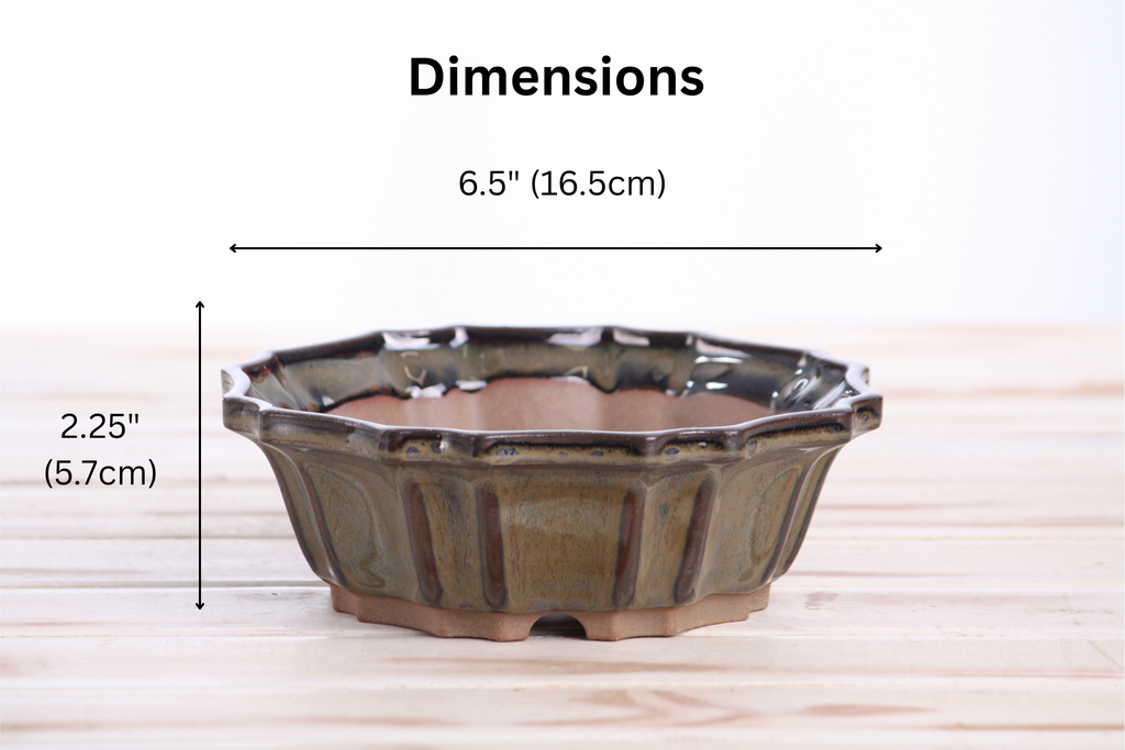 Willow Bonsai Ceramics Flower Design Bonsai Pot 6.5 Inch – Elegant Ceramic Bonsai & Succulent Planter, High‑Fired Frost‑Proof Stoneware with Drainage & Wiring Holes, Handmade in USA (Dark Honey)