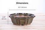 Willow Bonsai Ceramics Flower Design Bonsai Pot 6.5 Inch – Elegant Ceramic Bonsai & Succulent Planter, High‑Fired Frost‑Proof Stoneware with Drainage & Wiring Holes, Handmade in USA (Dark Honey)