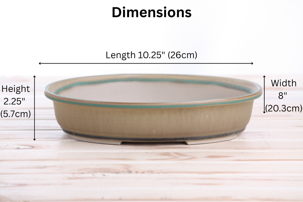 Willow Bonsai Ceramics Landscape Oval A Bonsai Pot 10 Inch – Large Oval Ceramic Bonsai Planter for Forest, Group & Specimen Tree Plantings, High‑Fired Frost‑Proof Stoneware, Handmade in USA (Speckled Moss)