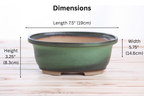 Willow Bonsai Ceramics Fat Bonsai Pot 7.5 Inch – Bold Oval Ceramic Bonsai & Succulent Planter with Accentuated Rim, High‑Fired Frost‑Proof Stoneware, Handmade in USA (Avocado)