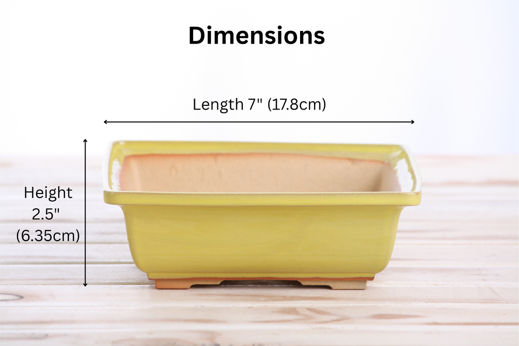 Willow Bonsai Ceramics Square Bonsai Pot 7 Inch – Low‑Profile Square Ceramic Bonsai & Succulent Planter with Accentuated Rim, High‑Fired Frost‑Proof Stoneware, Handmade in USA (Yellow)