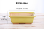 Willow Bonsai Ceramics Square Bonsai Pot 7 Inch – Low‑Profile Square Ceramic Bonsai & Succulent Planter with Accentuated Rim, High‑Fired Frost‑Proof Stoneware, Handmade in USA (Yellow)