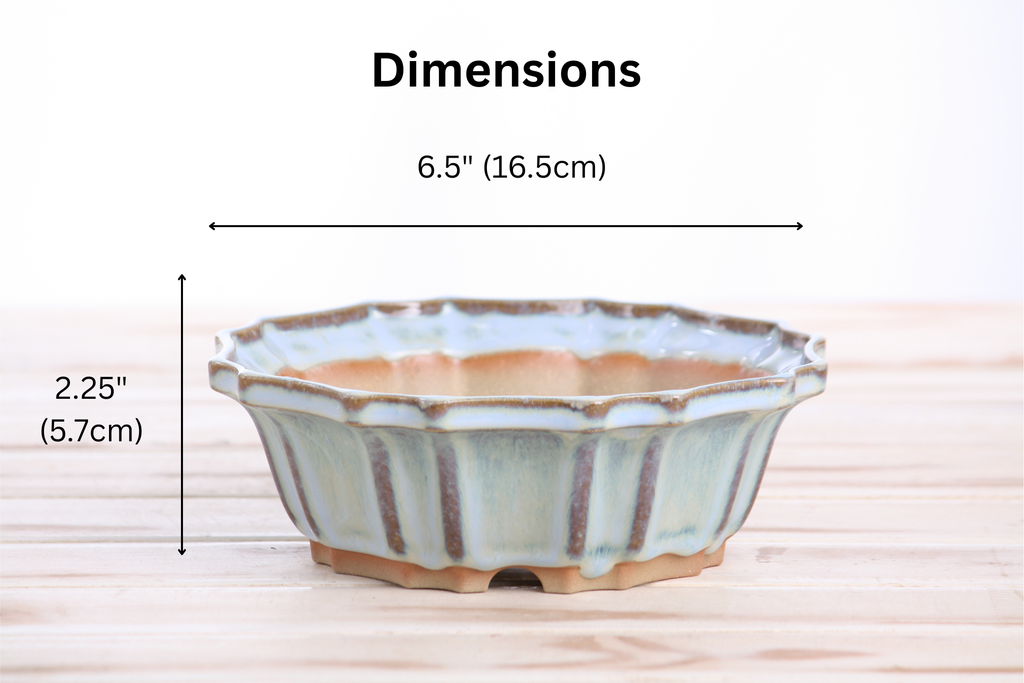 Willow Bonsai Ceramics Flower Design Bonsai Pot 6.5 Inch – Elegant Ceramic Bonsai & Succulent Planter, High‑Fired Frost‑Proof Stoneware with Drainage & Wiring Holes, Handmade in USA (Glacier)