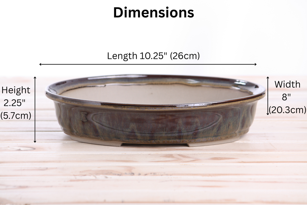 Willow Bonsai Ceramics Landscape Oval A Bonsai Pot 10 Inch – Large Oval Ceramic Bonsai Planter for Forest, Group & Specimen Tree Plantings, High‑Fired Frost‑Proof Stoneware, Handmade in USA (Dark Honey)