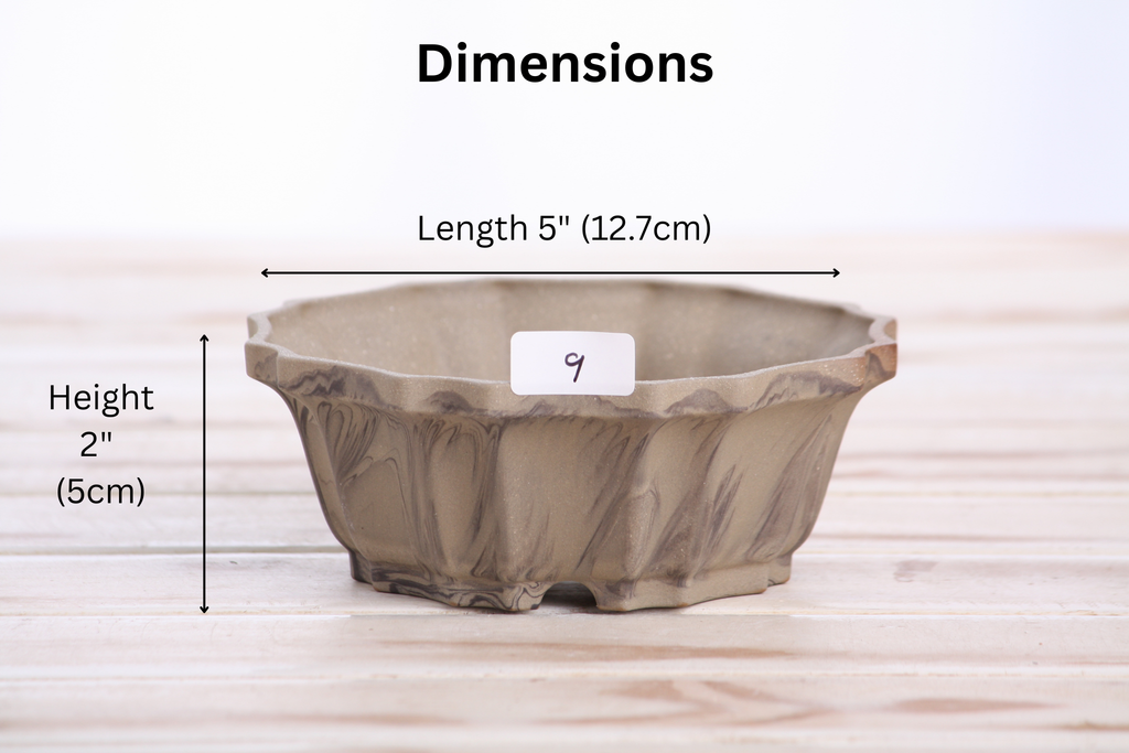 Willow Bonsai Ceramics Flower Design Bonsai Pot 5 Inch – Elegant Ceramic Bonsai & Succulent Planter, High‑Fired Frost‑Proof Stoneware with Drainage & Wiring Holes, Handmade in USA (Limited Edition 9)