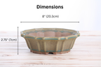 Willow Bonsai Ceramics Flower Design Bonsai Pot 8 Inch – Elegant Ceramic Bonsai & Succulent Planter, High‑Fired Frost‑Proof Stoneware with Drainage & Wiring Holes, Handmade in USA (Speckled Moss)