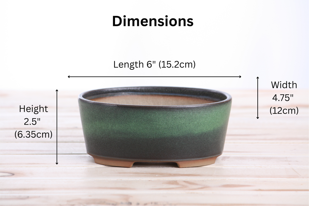 Willow Bonsai Ceramics Oval A Bonsai Pot 6 Inch – Straight‑Sided Oval Ceramic Bonsai & Succulent Planter, High‑Fired Frost‑Proof Stoneware with Drainage & Wiring Holes, Handmade in USA (Avocado)