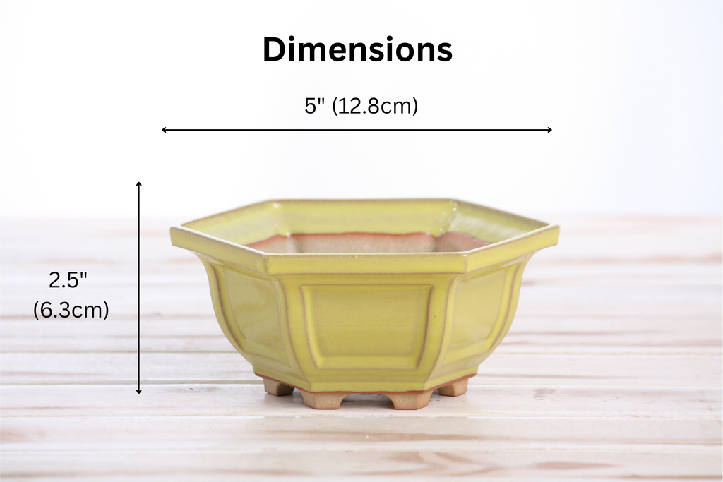 Willow Bonsai Ceramics Hexagonal Windowed Bonsai Pot 5 Inch – Semi‑Cascade Planter, High‑Fired Frost‑Proof Stoneware with Drainage & Wiring Holes, Handmade in USA (Yellow)