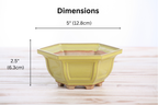 Willow Bonsai Ceramics Hexagonal Windowed Bonsai Pot 5 Inch – Semi‑Cascade Planter, High‑Fired Frost‑Proof Stoneware with Drainage & Wiring Holes, Handmade in USA (Yellow)