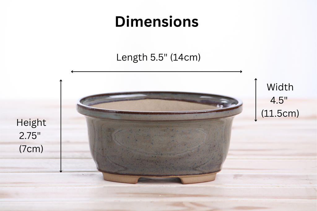 Willow Bonsai Ceramics Fat Bonsai Pot 5.5 Inch – Bold Oval Ceramic Bonsai & Succulent Planter with Accentuated Rim, High‑Fired Frost‑Proof Stoneware, Handmade in USA (Starry Night)