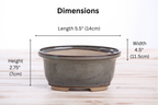 Willow Bonsai Ceramics Fat Bonsai Pot 5.5 Inch – Bold Oval Ceramic Bonsai & Succulent Planter with Accentuated Rim, High‑Fired Frost‑Proof Stoneware, Handmade in USA (Starry Night)