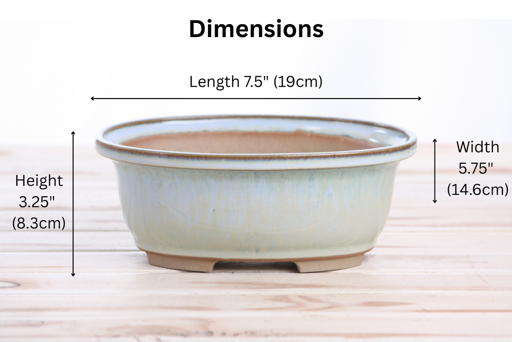 Willow Bonsai Ceramics Fat Bonsai Pot 7.5 Inch – Bold Oval Ceramic Bonsai & Succulent Planter with Accentuated Rim, High‑Fired Frost‑Proof Stoneware, Handmade in USA (Glacier)