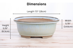 Willow Bonsai Ceramics Fat Bonsai Pot 7.5 Inch – Bold Oval Ceramic Bonsai & Succulent Planter with Accentuated Rim, High‑Fired Frost‑Proof Stoneware, Handmade in USA (Glacier)