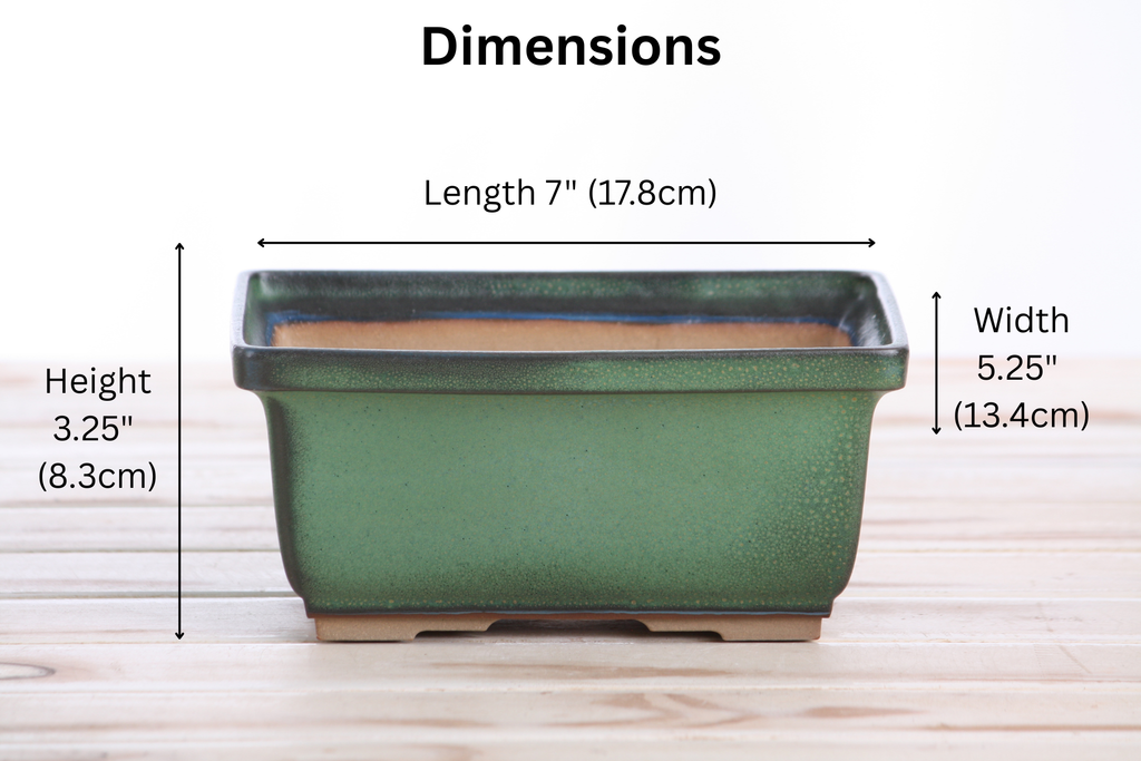 Willow Bonsai Ceramics Rectangle Deep Bonsai Pot 7 Inch – Higher‑Profile Rectangular Ceramic Bonsai & Succulent Planter with Accentuated Rim, High‑Fired Frost‑Proof Stoneware, Handmade in USA (Avocado)