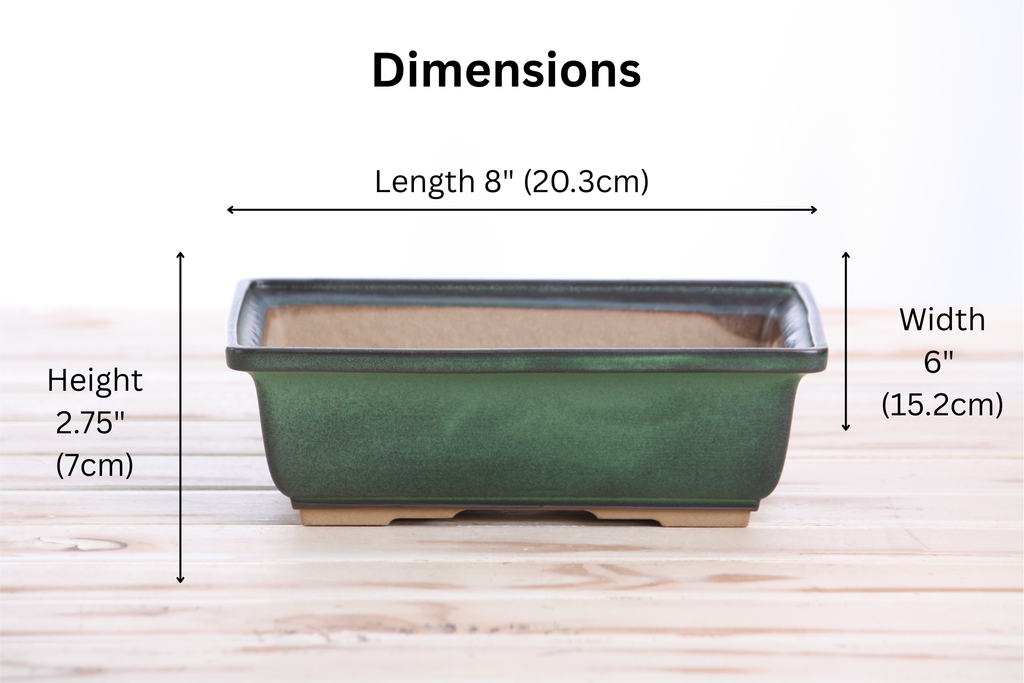 Willow Bonsai Ceramics Rectangle Bonsai Pot 8 Inch – Lower‑Profile Rectangular Ceramic Bonsai & Succulent Planter with Accentuated Rim, High‑Fired Frost‑Proof Stoneware, Handmade in USA (Avocado)