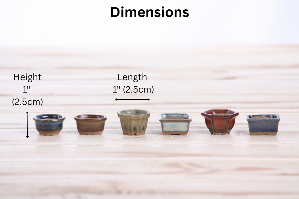 Willow Bonsai Ceramics 1 Inch Shito Bonsai Pot Set of 6 – Mini Handmade Ceramic Bonsai & Succulent Pots, High‑Fired Stoneware with Drainage, Made in USA (Set A)