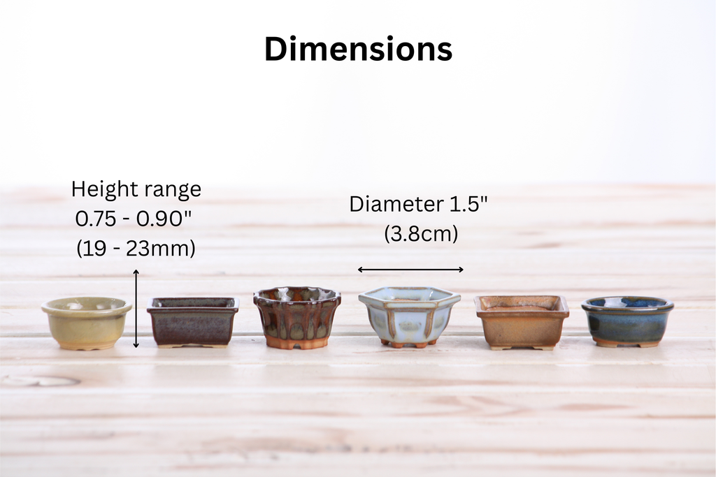 Willow Bonsai Ceramics 1.5 Inch Shito Bonsai Pot Set of 6 – Mini Handmade Ceramic Bonsai & Succulent Pots, High‑Fired Stoneware with Drainage, Made in USA (Set A)
