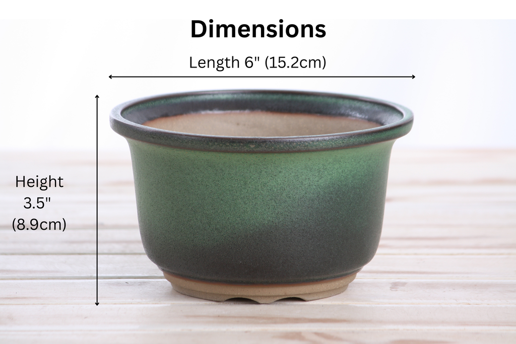 Willow Bonsai Ceramics Flute Bonsai Pot 6 Inch – Round Semi‑Cascade Ceramic Bonsai & Succulent Planter with Fluted Profile and Banded Base, High‑Fired Frost‑Proof Stoneware, Handmade in USA (Avocado)