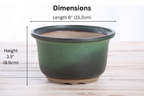 Willow Bonsai Ceramics Flute Bonsai Pot 6 Inch – Round Semi‑Cascade Ceramic Bonsai & Succulent Planter with Fluted Profile and Banded Base, High‑Fired Frost‑Proof Stoneware, Handmade in USA (Avocado)