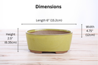 Willow Bonsai Ceramics Oval A Bonsai Pot 6 Inch – Straight‑Sided Oval Ceramic Bonsai & Succulent Planter, High‑Fired Frost‑Proof Stoneware with Drainage & Wiring Holes, Handmade in USA (Yellow)