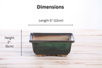 Willow Bonsai Ceramics Square Bonsai Pot 5 Inch – Low‑Profile Square Ceramic Bonsai & Succulent Planter with Accentuated Rim, High‑Fired Frost‑Proof Stoneware, Handmade in USA (Avocado)