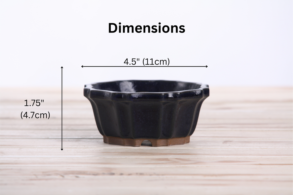 Willow Bonsai Ceramics Flower Design Bonsai Pot 4.5 Inch – Elegant Ceramic Bonsai & Succulent Planter, High‑Fired Frost‑Proof Stoneware with Drainage & Wiring Holes, Handmade in USA (Ruri)