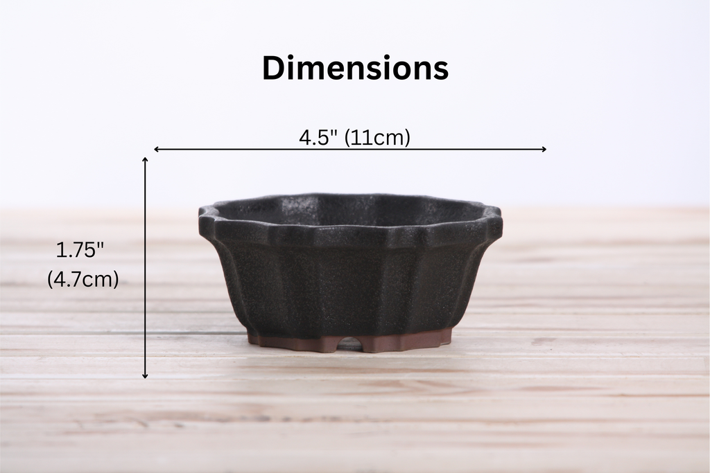 Willow Bonsai Ceramics Flower Design Bonsai Pot 4.5 Inch – Elegant Ceramic Bonsai & Succulent Planter, High‑Fired Frost‑Proof Stoneware with Drainage & Wiring Holes, Handmade in USA (Matt Black)
