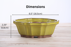 Willow Bonsai Ceramics Flower Design Bonsai Pot 6.5 Inch – Elegant Ceramic Bonsai & Succulent Planter, High‑Fired Frost‑Proof Stoneware with Drainage & Wiring Holes, Handmade in USA (Yellow)