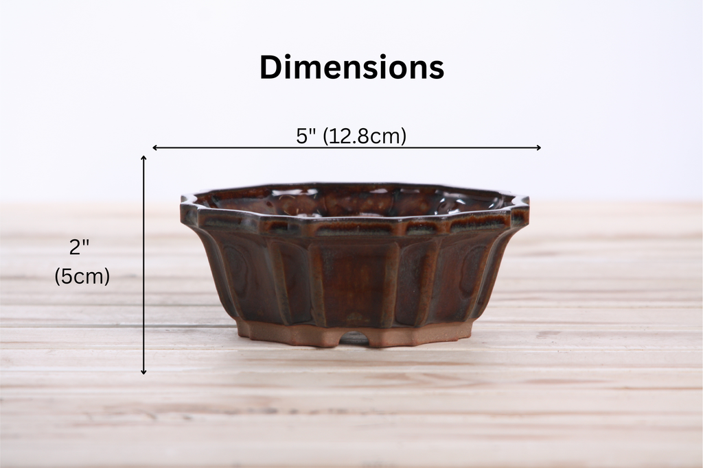 Willow Bonsai Ceramics Flower Design Bonsai Pot 5 Inch – Elegant Ceramic Bonsai & Succulent Planter, High‑Fired Frost‑Proof Stoneware with Drainage & Wiring Holes, Handmade in USA (Dark Honey)