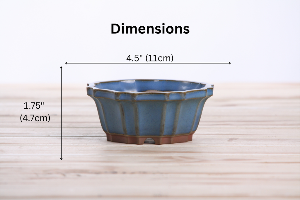 Willow Bonsai Ceramics Flower Design Bonsai Pot 4.5 Inch – Elegant Ceramic Bonsai & Succulent Planter, High‑Fired Frost‑Proof Stoneware with Drainage & Wiring Holes, Handmade in USA (Peacock 2023)