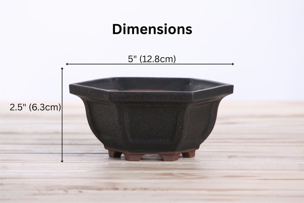 Willow Bonsai Ceramics Hexagonal Windowed Bonsai Pot 5 Inch – Semi‑Cascade Planter, High‑Fired Frost‑Proof Stoneware with Drainage & Wiring Holes, Handmade in USA (Matt Black)