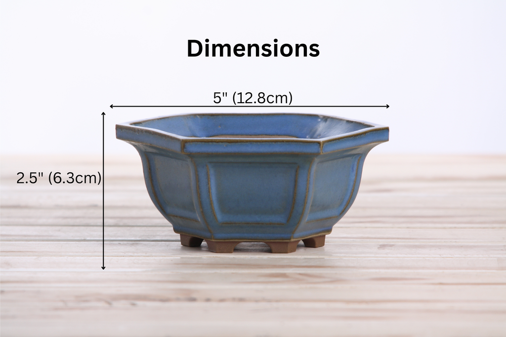 Willow Bonsai Ceramics Hexagonal Windowed Bonsai Pot 5 Inch – Semi‑Cascade Planter, High‑Fired Frost‑Proof Stoneware with Drainage & Wiring Holes, Handmade in USA (Peacock 2023)