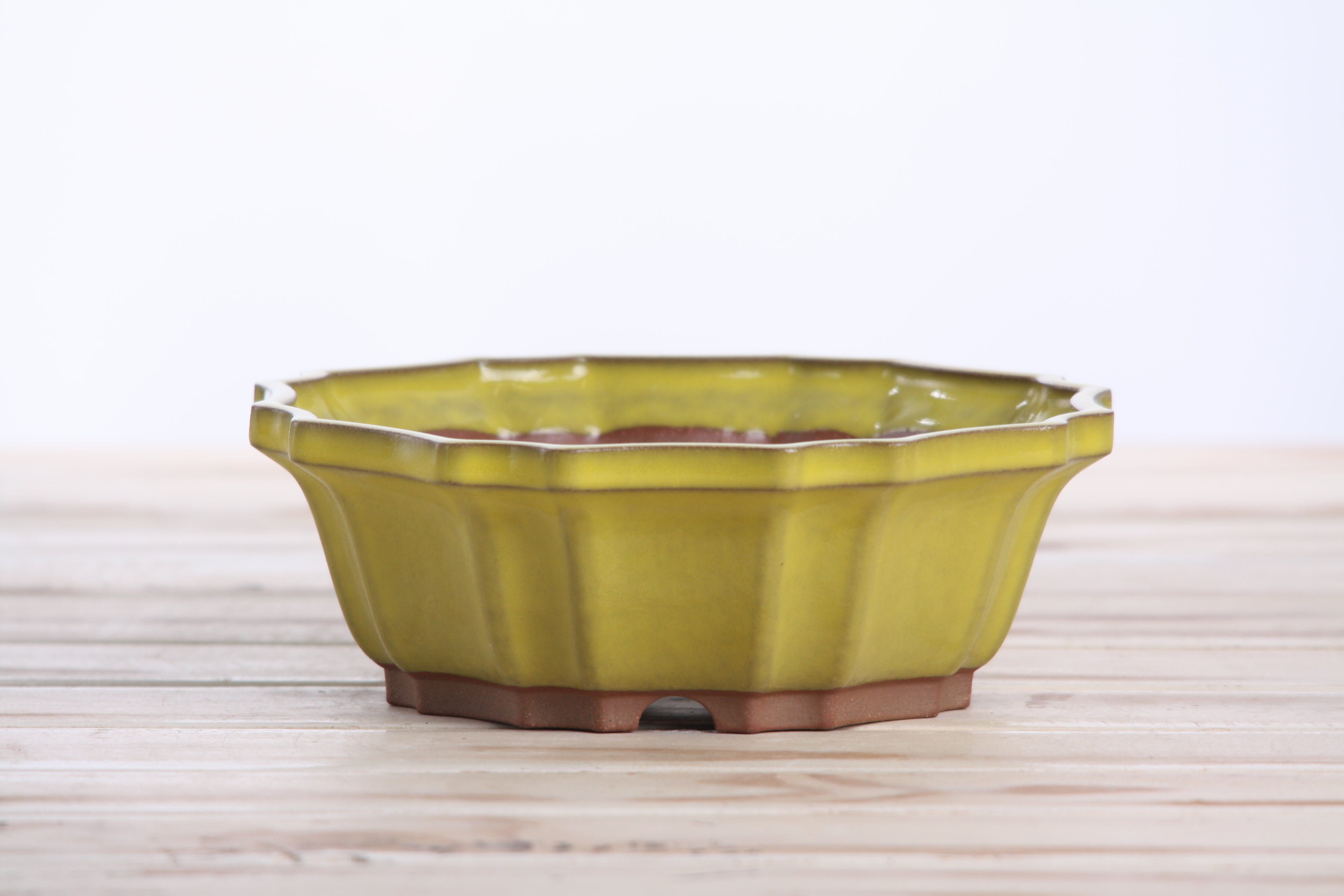 Willow Bonsai Ceramics Flower Design Bonsai Pot 6.5 Inch – Elegant Ceramic Bonsai & Succulent Planter, High‑Fired Frost‑Proof Stoneware with Drainage & Wiring Holes, Handmade in USA (Yellow)