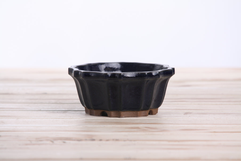 Willow Bonsai Ceramics Flower Design Bonsai Pot 4.5 Inch – Elegant Ceramic Bonsai & Succulent Planter, High‑Fired Frost‑Proof Stoneware with Drainage & Wiring Holes, Handmade in USA (Ruri)