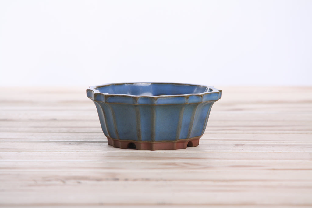 Willow Bonsai Ceramics Flower Design Bonsai Pot 4.5 Inch – Elegant Ceramic Bonsai & Succulent Planter, High‑Fired Frost‑Proof Stoneware with Drainage & Wiring Holes, Handmade in USA (Peacock 2023)