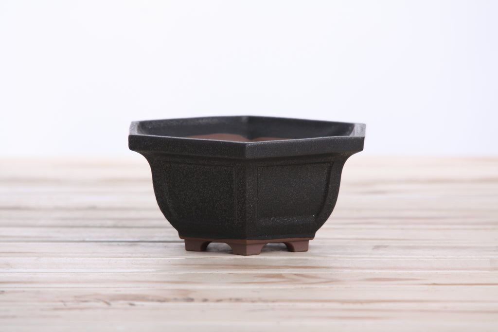 Willow Bonsai Ceramics Hexagonal Windowed Bonsai Pot 5 Inch – Semi‑Cascade Planter, High‑Fired Frost‑Proof Stoneware with Drainage & Wiring Holes, Handmade in USA (Matt Black)