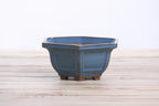 Willow Bonsai Ceramics Hexagonal Windowed Bonsai Pot 5 Inch – Semi‑Cascade Planter, High‑Fired Frost‑Proof Stoneware with Drainage & Wiring Holes, Handmade in USA (Peacock 2023)